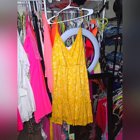 NWOT Southern Fried Chics Flirty Little Thing Lace Dress 3x - Picture 4 of 7